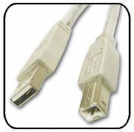 10 FT USB 2.0 A/M to B/M PRINTER CABLE